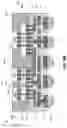Fig. 10 - Microelectronic assemblies with inductors in direct bonding regions