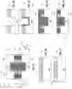 Fig. 11 - Microelectronic assemblies with inductors in direct bonding regions