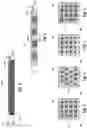 Fig. 04 - Direct bonding in microelectronic assemblies