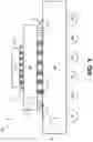 Fig. 05 - Film in substrate for releasing z stack-up constraint