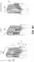 Fig. 04 - Fabrication of gate-all-around integrated circuit structures having pre-spacer deposition cut gates