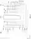 Fig. 10 - Semiconductor device structure and methods of forming the same