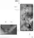 Fig. 02 - Bezel-less display panel