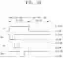 Fig. 09 - Display panel and electronic device including the same