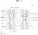 Fig. 06 - Integrated circuit devices and methods of manufacturing the same
