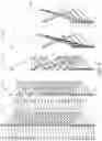 Fig. 09 - Methods and procedures for flexible and highly-parallel polar encoding and decoding