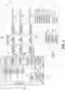Fig. 06 - Enhanced token transfer