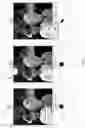 Fig. 07 - Method for displaying image in photographing scenario and electronic device
