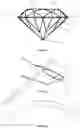 Fig. 02 - NAIL DECORATING METHOD AND A DECORATED NAIL