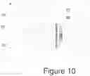 Fig. 09 - Cooking appliances