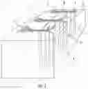 Fig. 02 - Hair Grasping Device