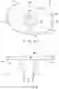 Fig. 10 - Asymmetric tibial components for a knee prosthesis