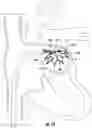Fig. 08 - LATCH WIRE AND DRIVER SHAFT