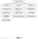 Fig. 02 - HUMAN PLACENTAL COLLAGEN COMPOSITIONS AND METHODS OF MAKING AND USING THE SAME