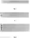 Fig. 02 - STABILIZED NON-ENVELOPED VIRUS COMPOSITIONS