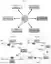 Fig. 02 - Compounds and Methods for Treating or Preventing Heart Failure