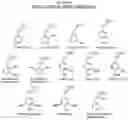 Fig. 07 - Levorphanol prodrugs and processes for making and using them