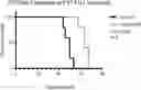 Fig. 01 - METHOD FOR TREATING AN ACUTE MYELOID LEUKEMIA