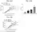 Fig. 43 - METHODS AND COMPOSITIONS FOR TREATING CANCER BY TARGETING FATP2 AND MYELOID DERIVED SUPPRESSOR CELLS