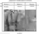 Fig. 35 - 2-HYDROXYPROPYL-BETA-CYCLODEXTRIN (HPBETACD) FOR USE IN THE TREATMENT OF BREAST CANCER