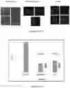 Fig. 49 - 2-HYDROXYPROPYL-BETA-CYCLODEXTRIN (HPBETACD) FOR USE IN THE TREATMENT OF BREAST CANCER