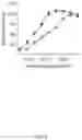 Fig. 07 - SAFE BOVINE HEPARIN, PREPARATION METHOD, AND APPLICATION