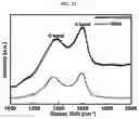 Fig. 14 - Pharmaceutical composition for prevention or treatment of lysosomal storage disorders