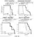 Fig. 02 - METHODS TO TREAT MITOCHONDRIAL-ASSOCIATED DYSFUNCTIONS OR DISEASES