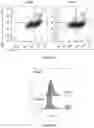 Fig. 04 - CHEMOKINE EXPRESSING CELL AND USE THEREOF