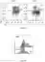 Fig. 06 - CHEMOKINE EXPRESSING CELL AND USE THEREOF