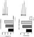Fig. 09 - MODIFIED IMMUNE CELLS EXPRESSING FLAGELLIN POLYPEPTIDE