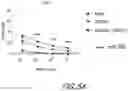 Fig. 06 - CHIMERIC CYTOKINE RECEPTORS