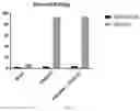 Fig. 08 - CHIMERIC CYTOKINE RECEPTORS