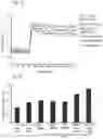 Fig. 05 - COMBINATIONS, NANOPARTICLES AND METHODS FOR CONTROLLING NATURAL KILLER CELL ACTIVATION AND FUNCTION