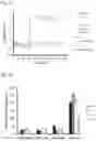 Fig. 14 - COMBINATIONS, NANOPARTICLES AND METHODS FOR CONTROLLING NATURAL KILLER CELL ACTIVATION AND FUNCTION