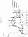 Fig. 03 - COMPOSITION FOR TREATING INFLAMMATORY DISEASE INDUCED BY HYPERIMMUNE RESPONSE