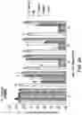 Fig. 03 - METHODS AND COMPOSITIONS FOR REDUCING VANCOMYCIN-RESISTANT ENTEROCOCCI INFECTION OR COLONIZATION