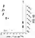 Fig. 08 - METHODS AND COMPOSITIONS FOR REDUCING VANCOMYCIN-RESISTANT ENTEROCOCCI INFECTION OR COLONIZATION