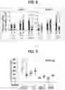 Fig. 07 - COMPOSITION FOR INDUCING PROLIFERATION OR ACCUMULATION OF REGULATORY T CELLS