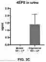 Fig. 06 - Modulation of microbial synthesis of 4-ethylphenol and 4-ethylphenyl sulfate in behavior and disease