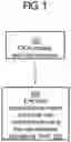 Fig. 02 - Cannabinoids infused coffee beans and raw nuts