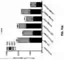 Fig. 32 - METHODS OF TREATING CERVICAL CANCER