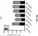Fig. 33 - METHODS OF TREATING CERVICAL CANCER
