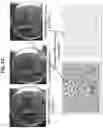Fig. 03 - Antimicrobial compounds from the genus 