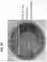 Fig. 06 - Antimicrobial compounds from the genus 