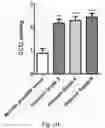 Fig. 49 - Method and compositions comprising a CT20 peptide