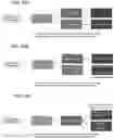 Fig. 32 - METHODS OF DISEASE ACTIVITY PROFILING FOR PERSONALIZED THERAPY MANAGEMENT