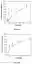 Fig. 07 - Polymer-drug conjugates for combination anticancer therapy