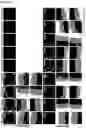 Fig. 09 - STRUCTURED GELS