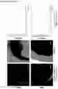 Fig. 22 - STRUCTURED GELS